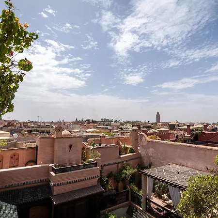 Riad Ilayka-3